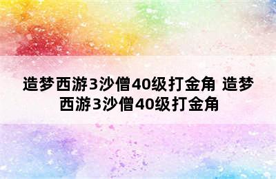 造梦西游3沙僧40级打金角 造梦西游3沙僧40级打金角